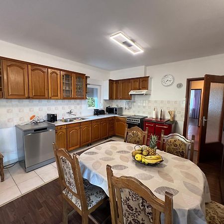Apartment Lucija "Pet Friendly" Crikvenica Zewnętrze zdjęcie